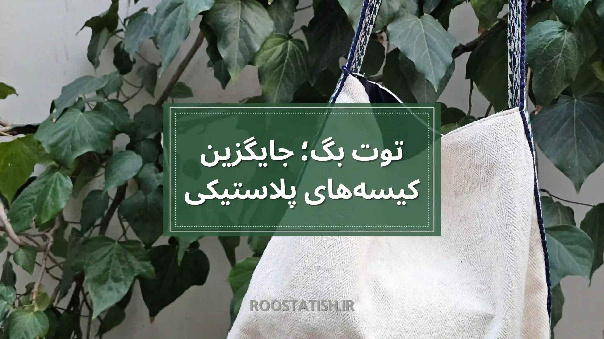 توت بگ جایگزین پلاستیک