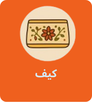 کیف کار دست